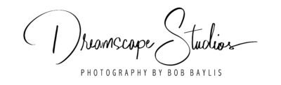 Dreamscape Studios logo